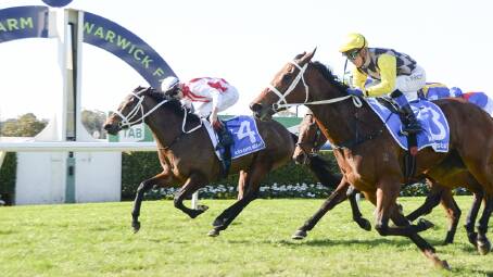 Cabaca on the outside is tipped to win race 4 Benchmark 72 HCP 1600m at Wednesday's Warwick Farm meeting. Picture Bradley Photos
