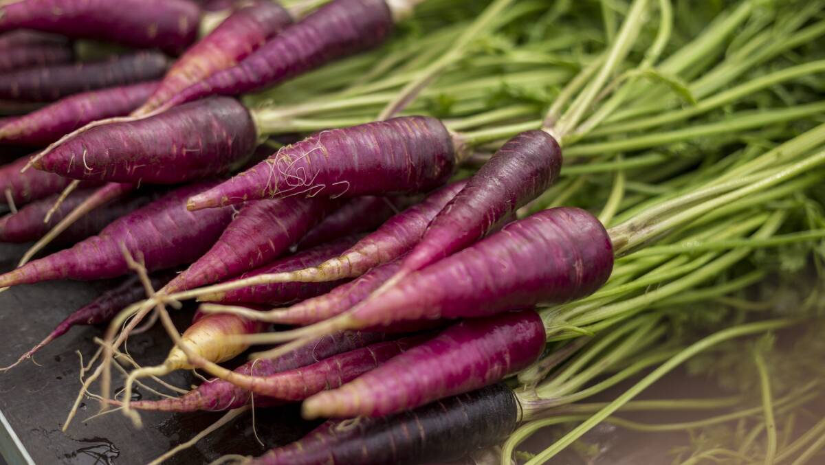 In fruits and vegetables the colour purple provides anthocyanin pigments good for health. Picture: Shutterstock 