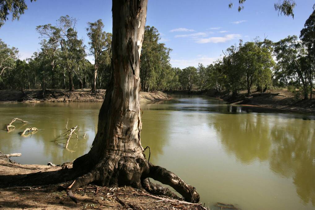 Murray junction where the Murrumbidgee and Murray rivers meet, photographed in 2007. Picture: Angela Wylie