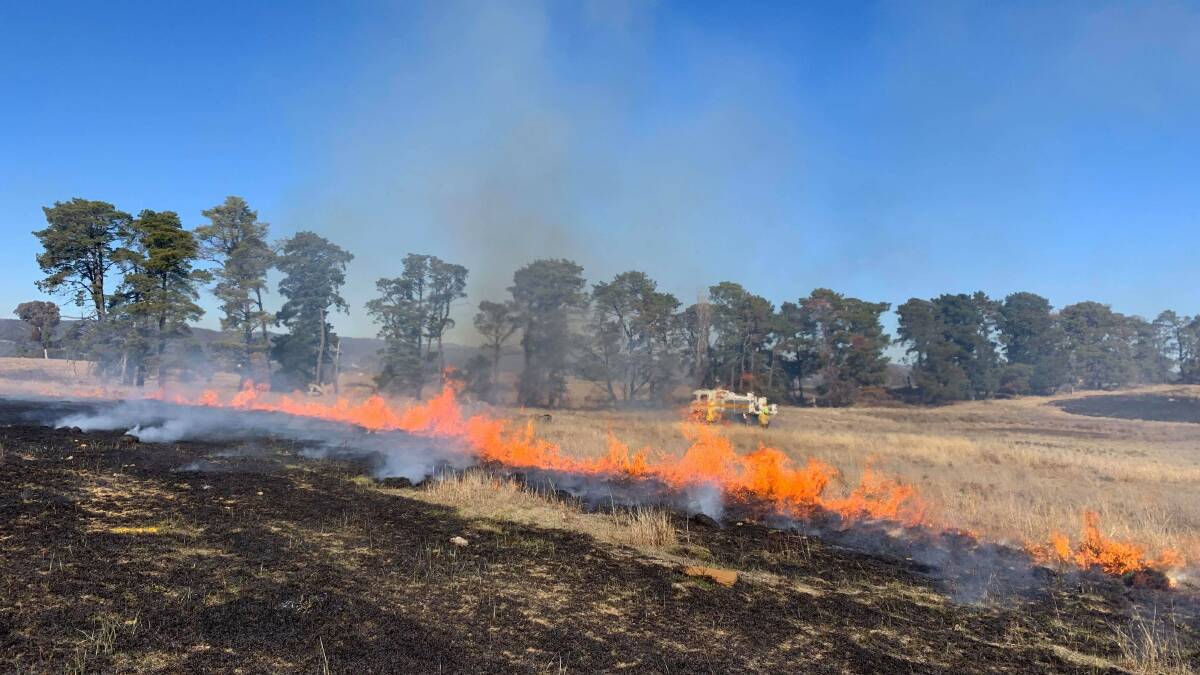 A hazard reduction burn at Majura earlier this year. Picture: Kirsten Tasker