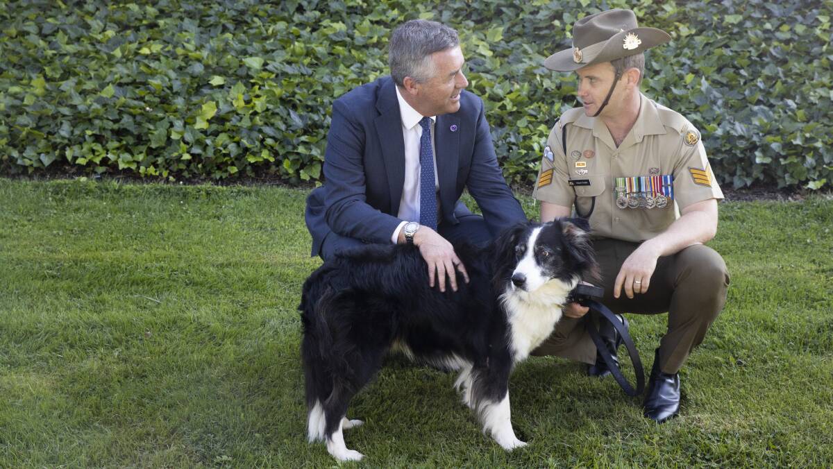 Minister for Veterans' and Defence Personnel Darren Chester and Sergeant Stuart Conlon and retired explosive detection dog Trip. Picture: Sitthixay Ditthavong
