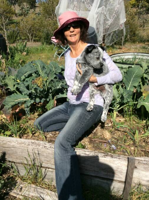 Felicity Green of Hawker with puppy Django and Romanesco broccoli. Photo: Susan Parsons