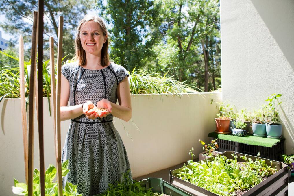 Marie-Alice McLean-Dreyfus holding some soy beans at her small garden on her balcony in the city. Photo: Jamila Toderas