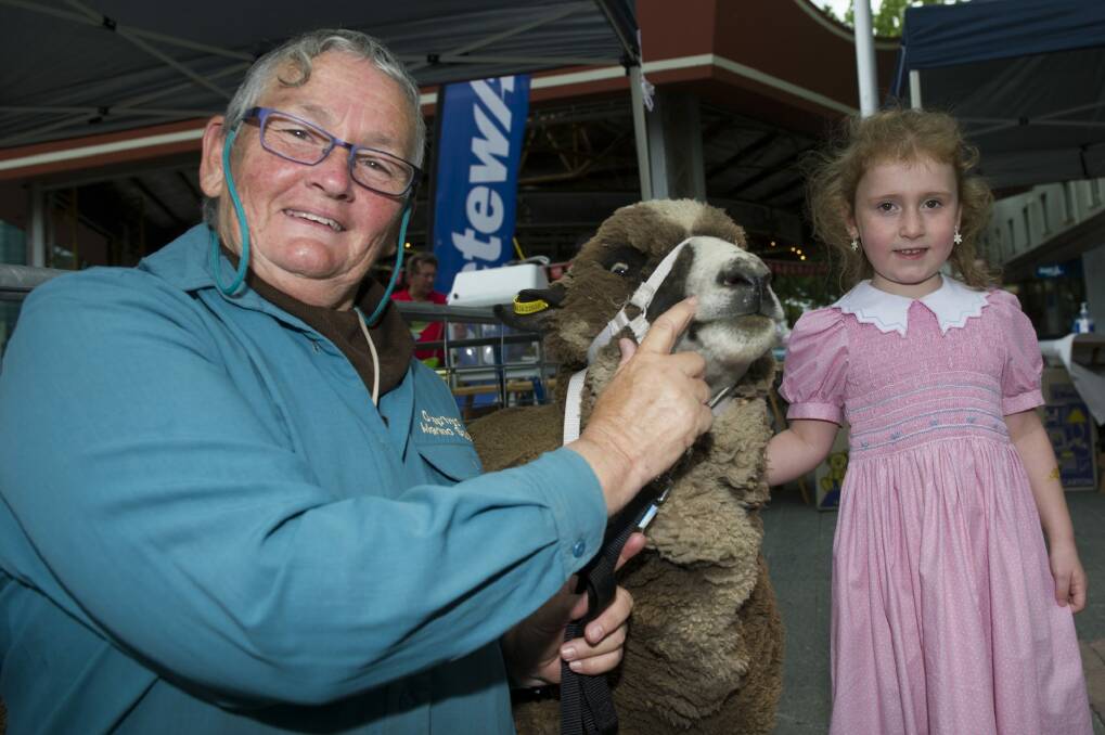 Broni Jekyll of Drap'hyd Merino stud and Annastashya Mogil, 5 at the launch of the 2015 ActewAGL Royal Canberra Show in Civic. Photo: Jay Cronan