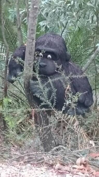 Boo: The "yowie" hiding in the bush between Nelligen and the Clyde River Berry Farm. Photo: Tim the Yowie Man