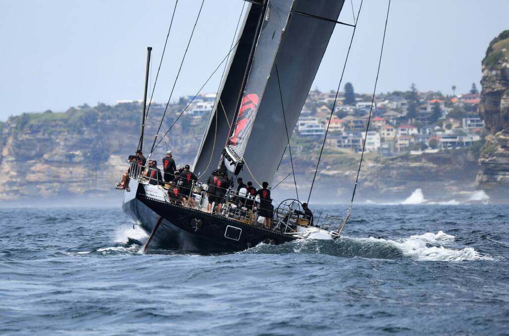 Front-runner: LDV Comanche sails past the South Heads. Photo: AAP