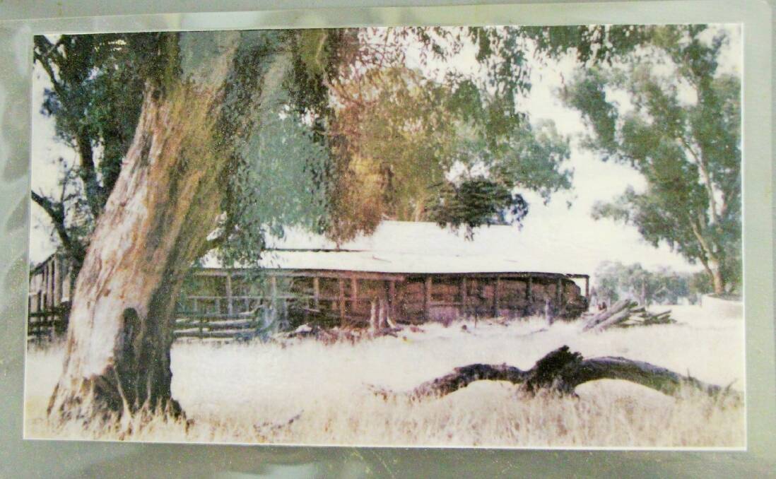 The shearing shed featured in Shearing the Rams prior to it being razed by fire in the 1960s. Photo: Corowa Federation Museum