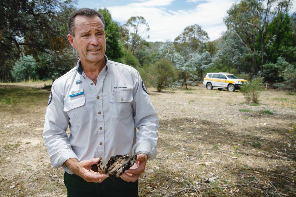 ACT parks and conservation service regional manager Brett McNamara holds the remains of a shoe belonging to one of his children at the site of his former house in Tidbinbilla, which was razed by the 2003 bushfires.  Photo: Sitthixay Ditthavong