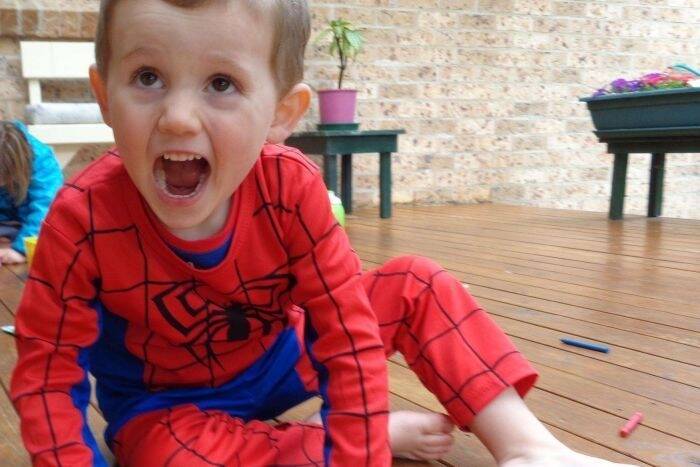 William Tyrrell was three when he vanished from a home on the NSW Mid North Coast in 2014. Photo: Supplied
