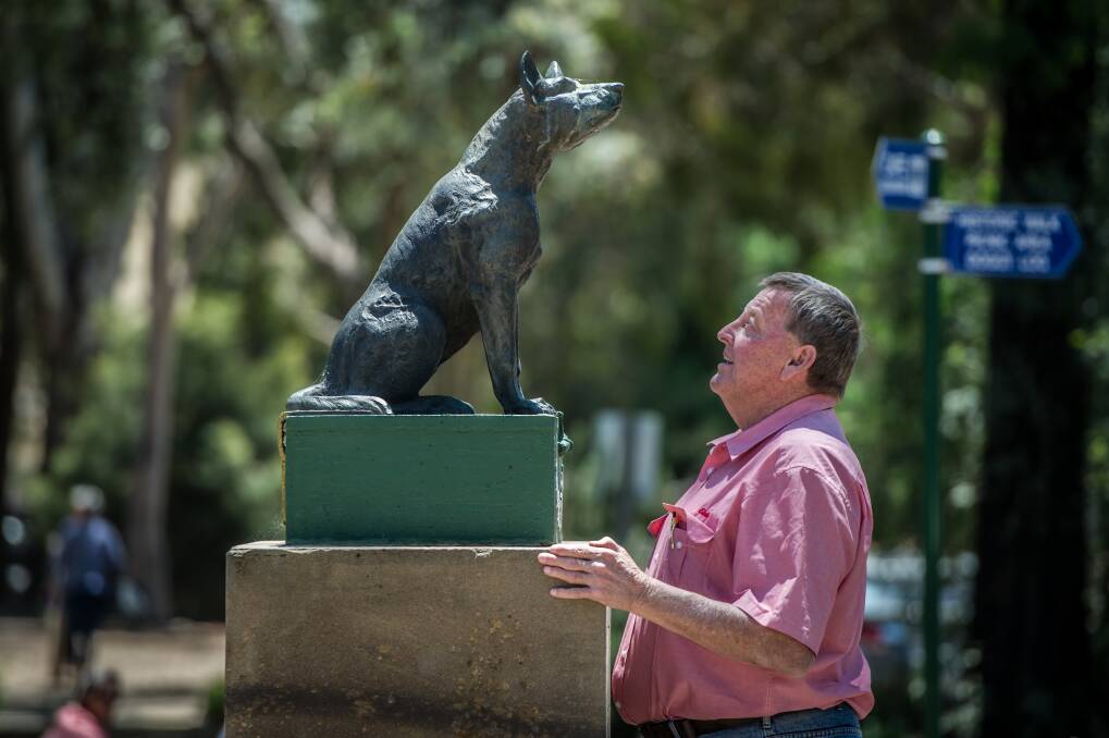 Gundagai is looking for someone to redevelop the national icon, the Dog on the Tuckerbox. Photo: Karleen Minney