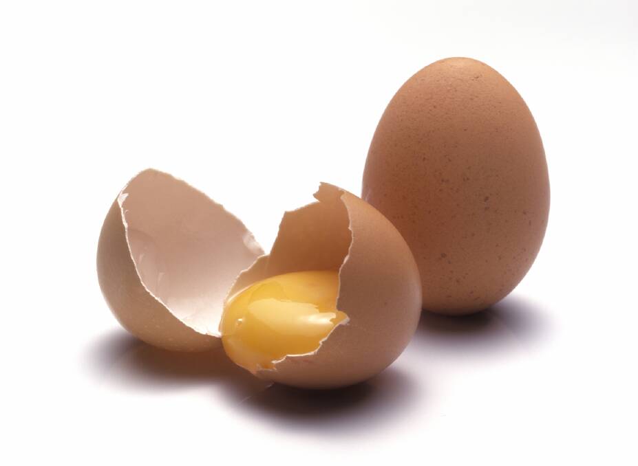 State and federal consumer affairs ministers will likely decide a national free-range egg standard today. Photo: iStock