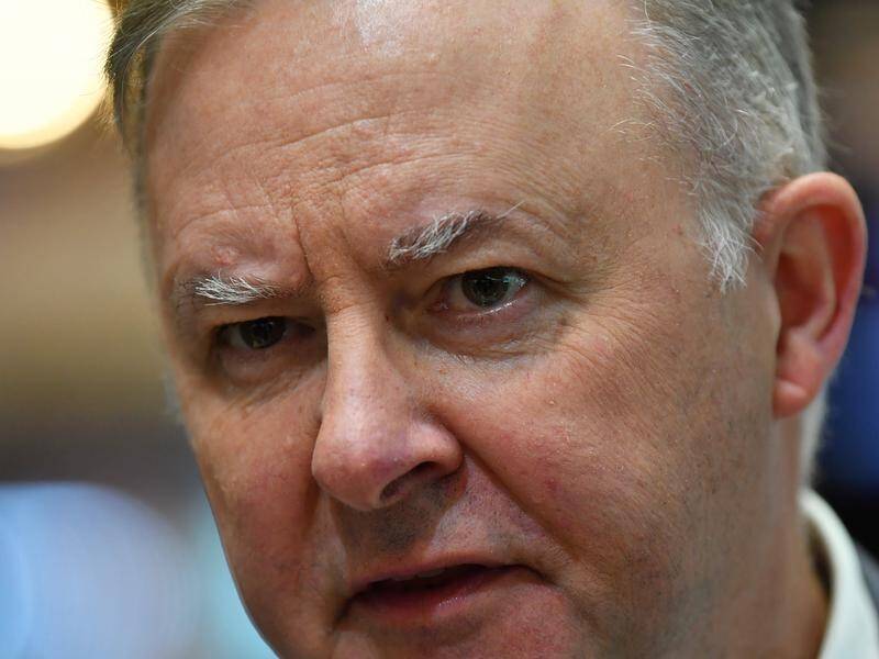 Labor leader Anthony Albanese says party members will have input at an online national conference.