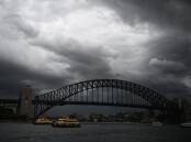 A person has gone overboard from a cruise ship heading toward Sydney Harbour pre-dawn. (Dan Himbrechts/AAP PHOTOS)