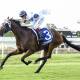 Goldman is favoured to win race 6 *BIG DANCE ELIGIBILITY* BUTERIN L'ESTRANGE GOSFORD GOLD CUP over 2100 METRES. Picture Bradley Photos