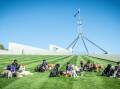 Pups4Fun's doggy charges hanging out on the lawns of Parliament House. Picture by Karleen Minney