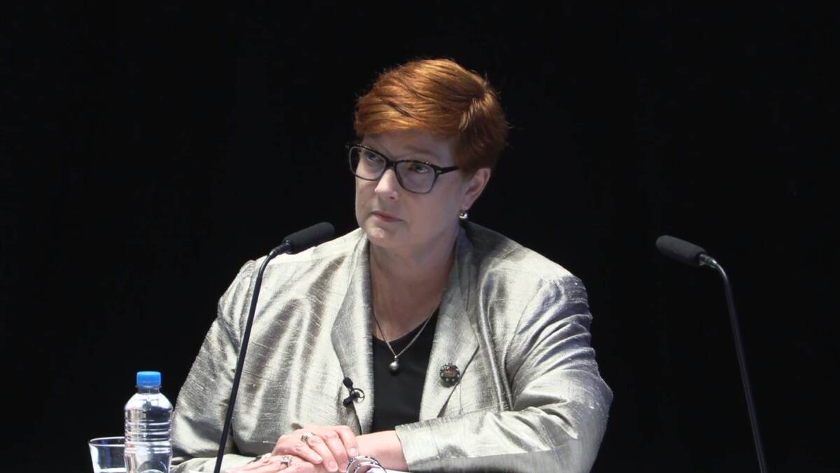 Former human services minister Marise Payne appearing at the Robodebt Royal Commission on Tuesday. Picture supplied