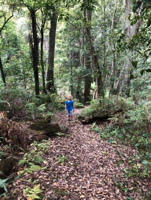 Goodenia Rainforest is a beautiful spot to take the kids for a walk in nature. 