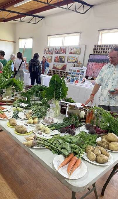Rob Zelley, Champion beetroot grower, counting his other First placings in the vegetables section at Pambula Show. Picture supplied.