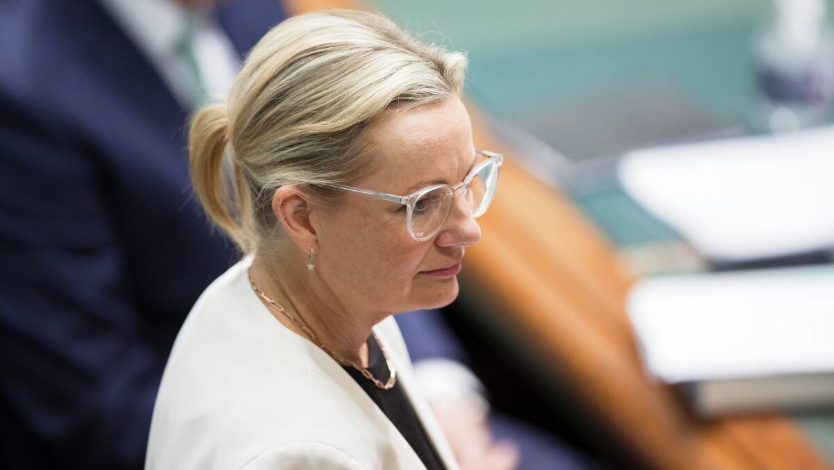 Deputy Opposition Leader Sussan Ley. Picture by Sitthixay Ditthavong