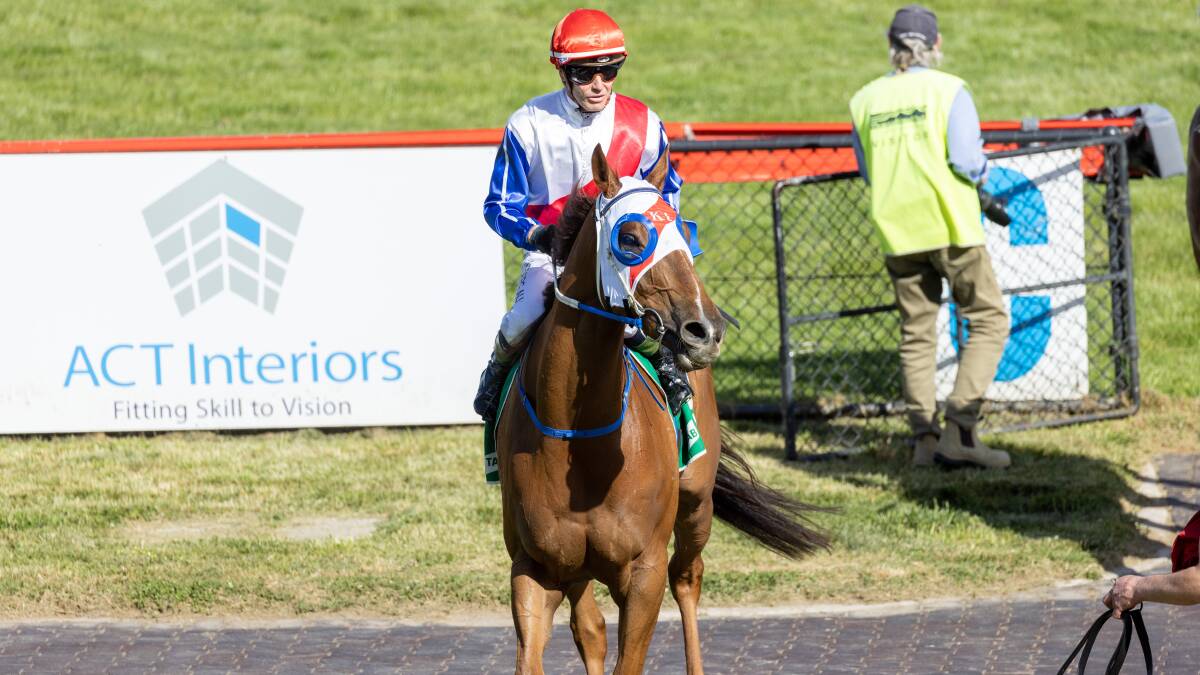 Hezredhot returns to scale after winning the Federal. Picture: Sitthixay Ditthavong