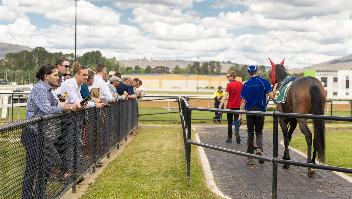 Spectators watch starters in the mounting yard at Thoroughbred Park on Melbourne Cup Day. Picture: Sitthixay Ditthavong