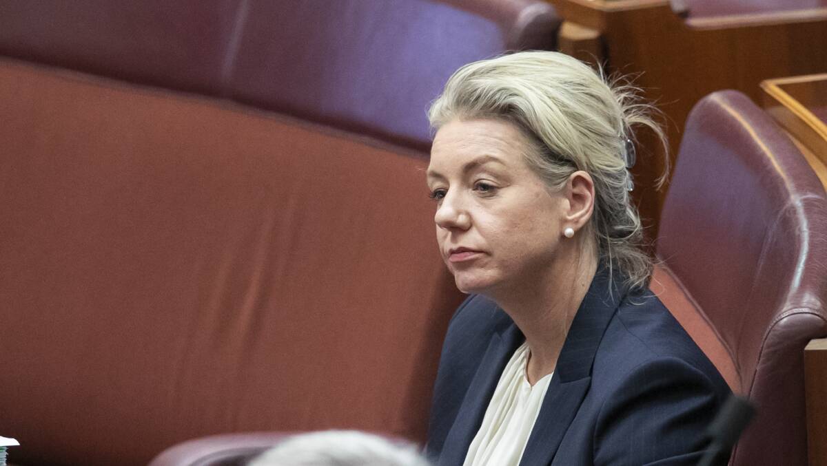 Bridget McKenzie has warned things will be "ugly" if the PM pursues net zero without the Nationals' backing. Picture: Keegan Carroll