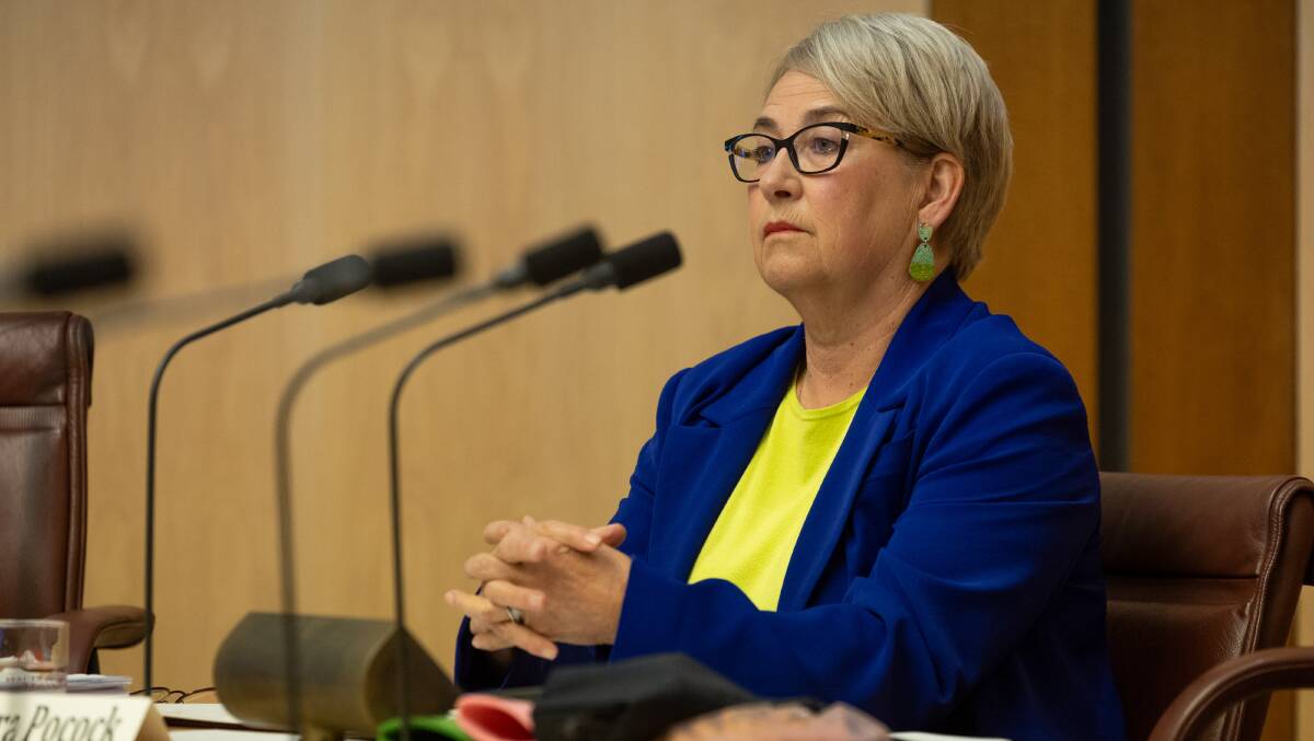 Calling for the Senate inquiry was an early flash of good instinct for Barbara Pocock. Picture by Gary Ramage