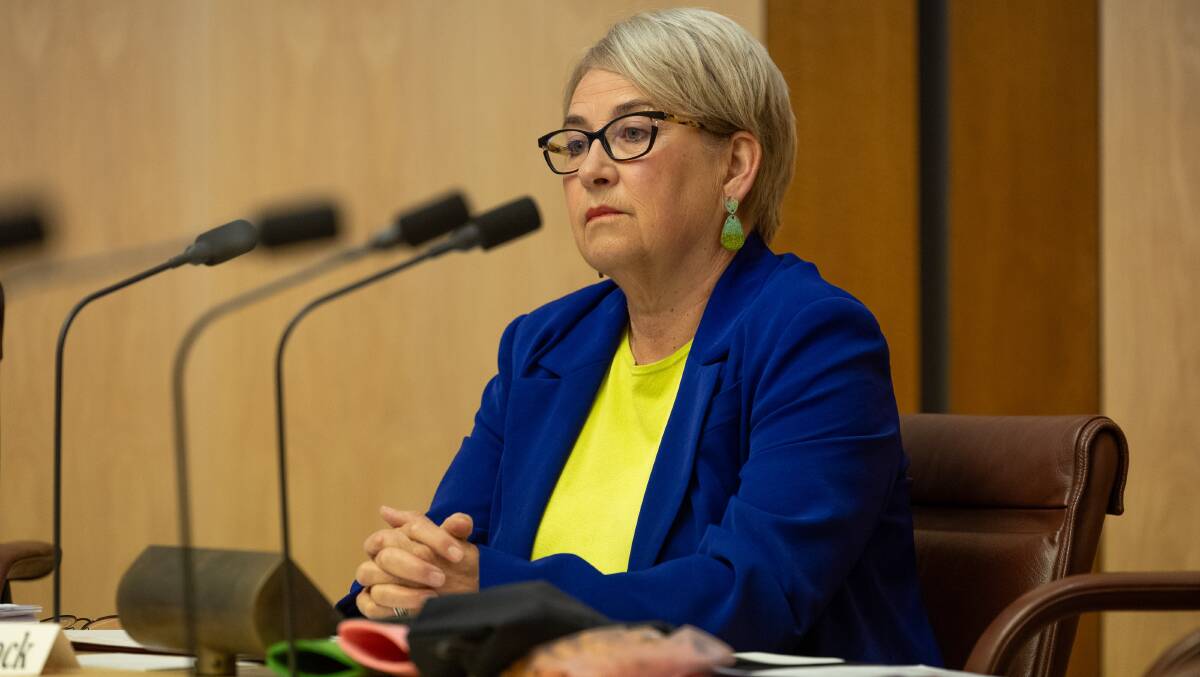 Greens senator Barbara Pocock called out 'appalling rates' of endorsement for leadership. Picture by Gary Ramage