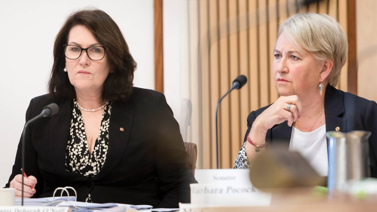 Labor senator Deborah O'Neill. left, and Greens senator Barbara Pocock. Pictures by Karleen Minney, Elesa Kurtz