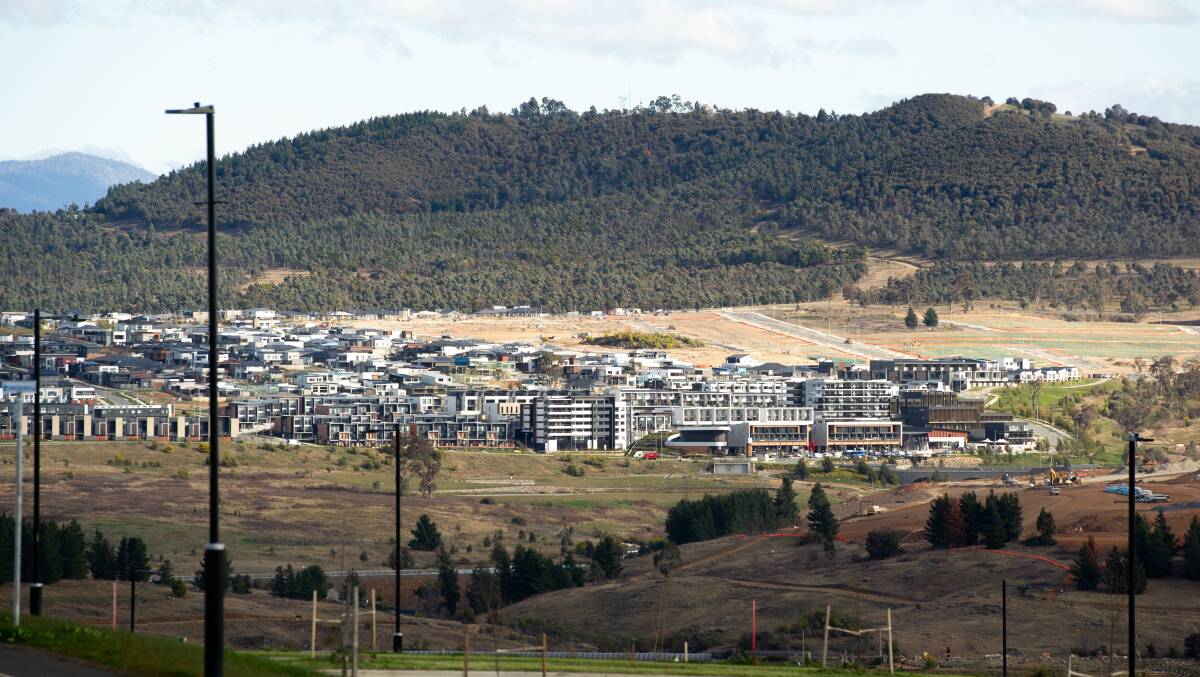 Homes in the Molonglo Valley district of Canberra. Picture by Elesa Kurtz