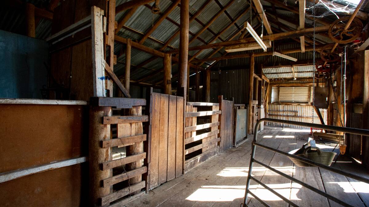 Inside the working shearing sheds. Picture by Elesa Kurtz