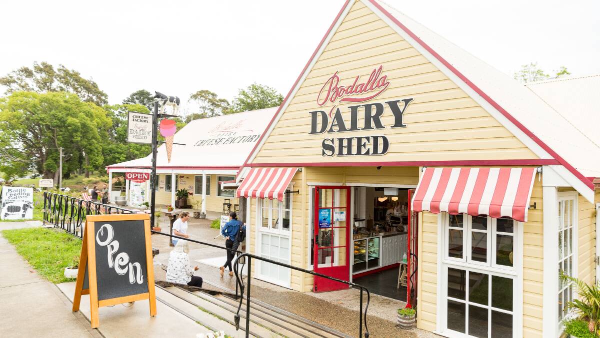 Eurobodalla Dairy is trying to lure out of work Norco employees down south with the lure of an attractive salary and the promise of accommodation. Picture by Eurobodalla Coast Tourism