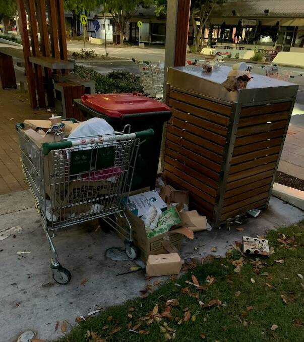 Despite Council doubling the number of street bins and emptying them daily, residents and visitors were using shopping trolleys to contain litter around Batemans Bay over the New Year break. Picture supplied.