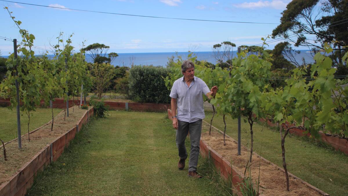 Mr Farrant's North Durras vineyard has 30 Chambourcin vines which produce 150 litres of wine per year. Picture by James Tugwell.