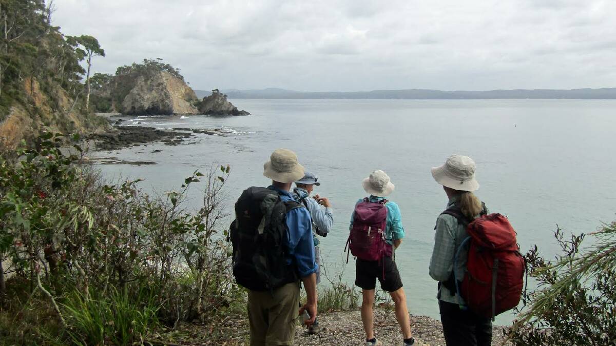 Canberra Bushwalking Club members on the Batemans Bay headland track. Picture by David Briese.