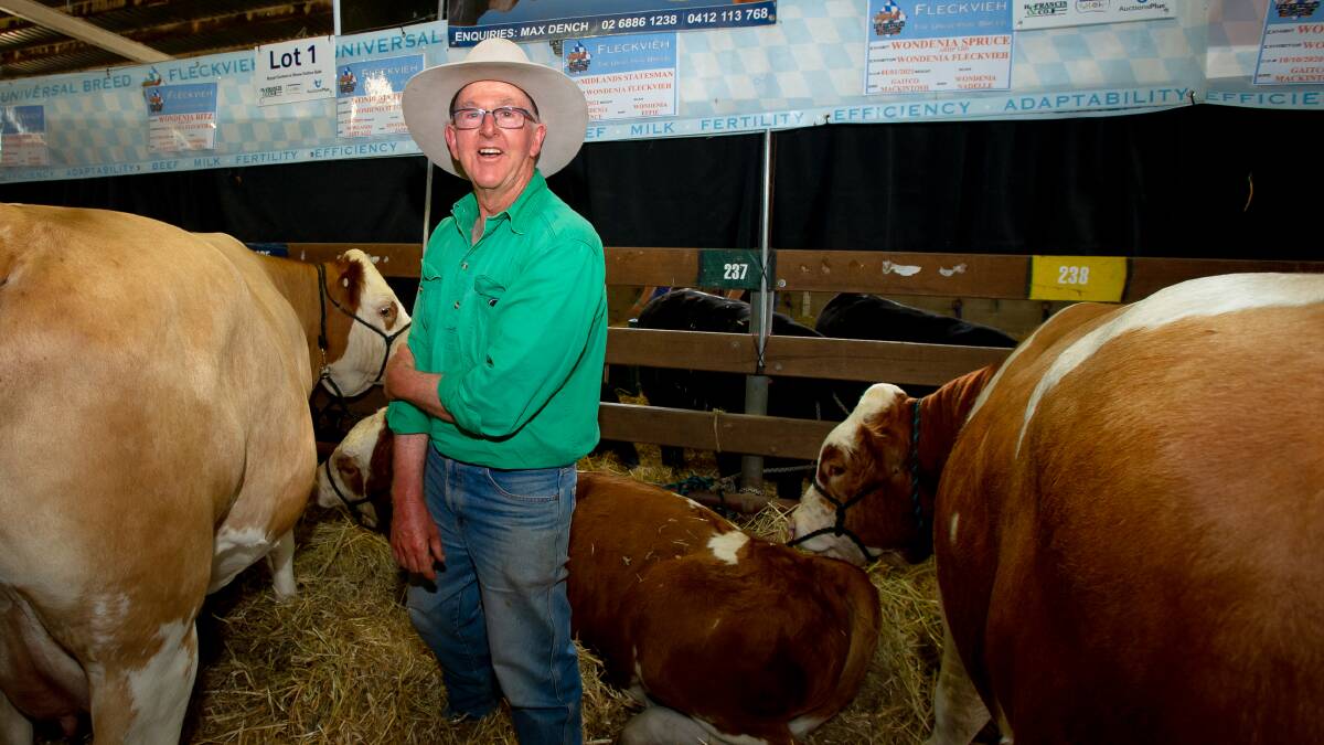Max Drench of Fleckvieh Studs has been showing cattle at the Royal Canberra Show since 1984. Picture: Elesa Kurtz