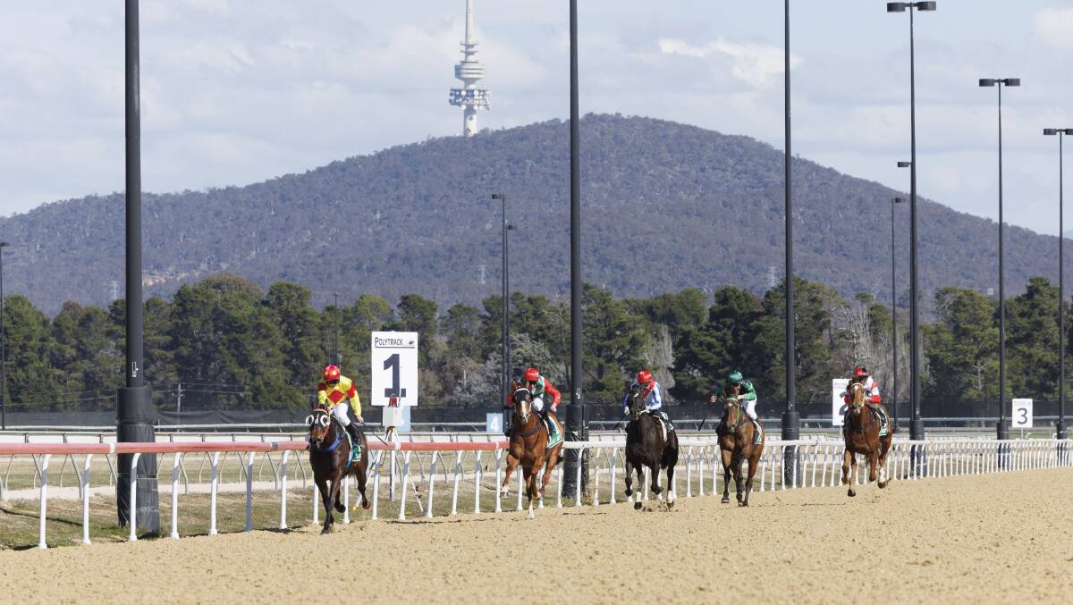 Thoroughbred Park Canberra. Picture by Keegan Carroll