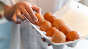 Coles has introduced a limit of two cartons of eggs per customer. Picture by Shutterstock