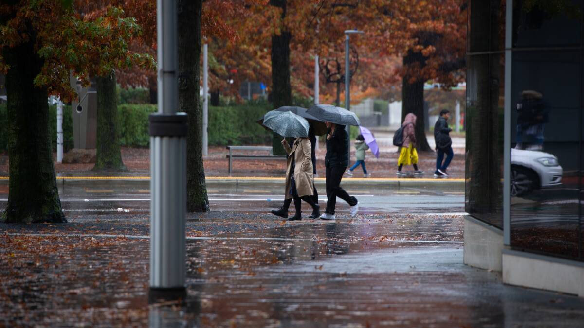 Pedestrians carry umbrellas near Marcus Clarke Street in Canberra. Picture by Elesa Kurtz