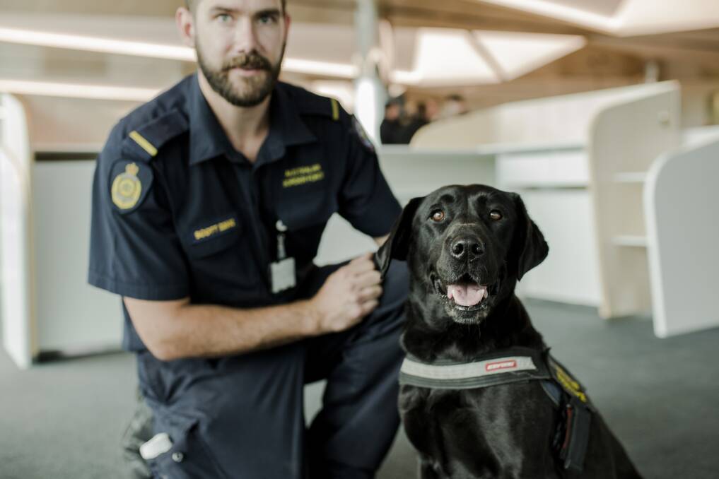 An Australian Border Force officer with a working dog. Picture by Jamila Toderas