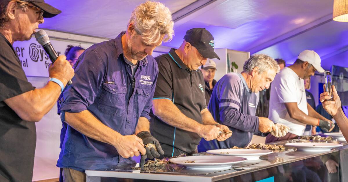 Save the date Narooma Oyster Festival May 34 2024 The Canberra