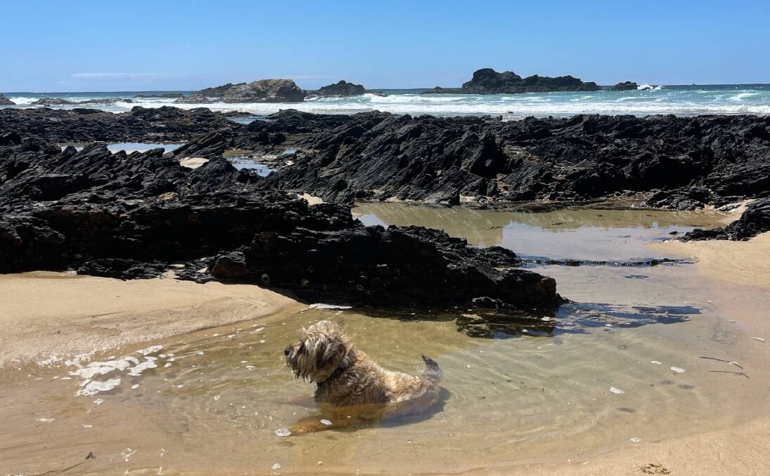 Zak chilling out at Mystery Bay beach after his three-month adventure. Picture supplied