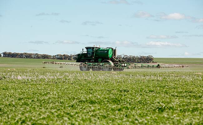 The advanced adjuvant package in AXIAL Xtra has been shown to achieve a faster burn down of target weeds when compared to generic Pinoxaden formulations. Picture supplied