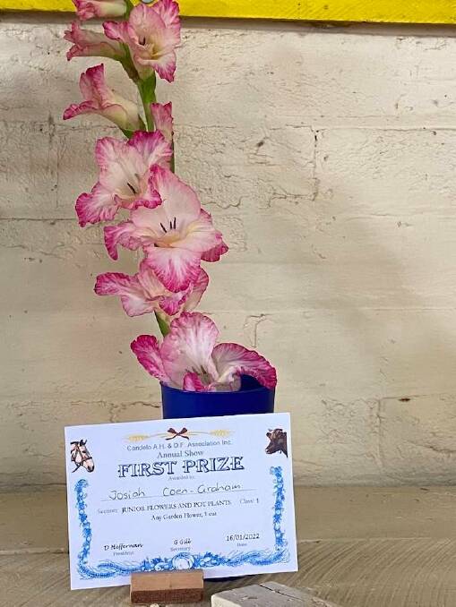 First place in the garden flower category at last years Candelo Show. Photo supplied. 