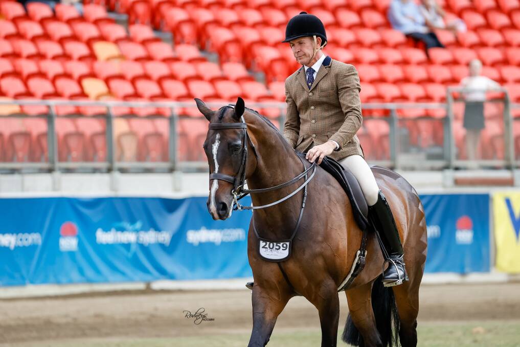 Kenzig also rode St Patrick in Class 588 of the Sydney Royal Easter Show - Novice Show Hunter Hack, over 16.2hh - where he finished 3rd. Picture supplied by Rodneys Photography.