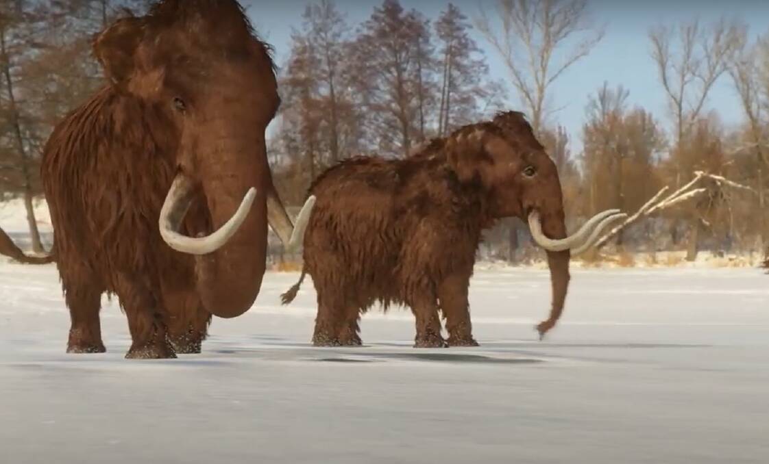 Project aims to revive woolly mammoth to tackle climate change The