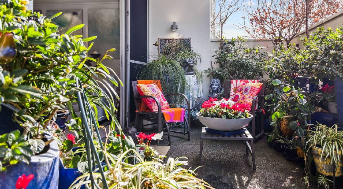 A large patio has space for outdoor dining and many colourful plants. Picture supplied 