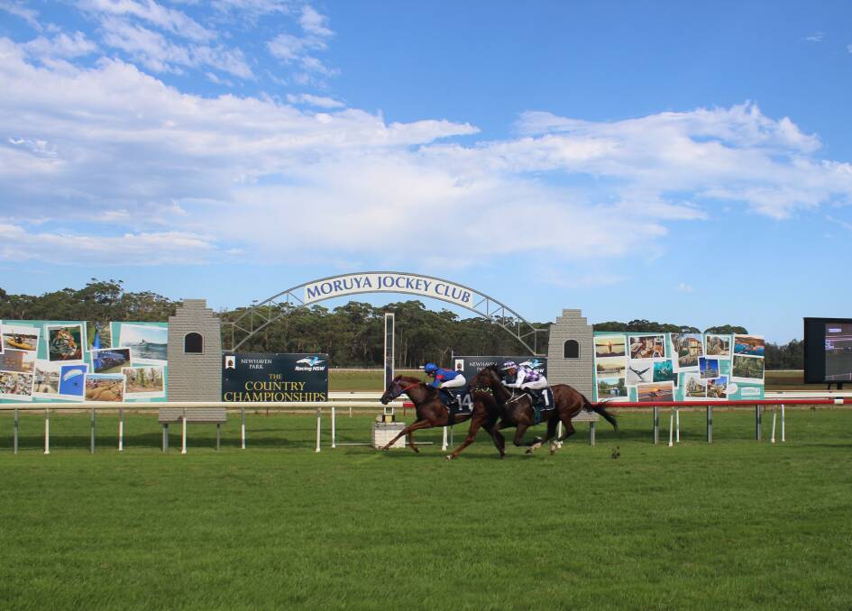 Kimberley Secrets and Testator Silens are off to Royal Randwick on April 1. Picture by James Tugwell