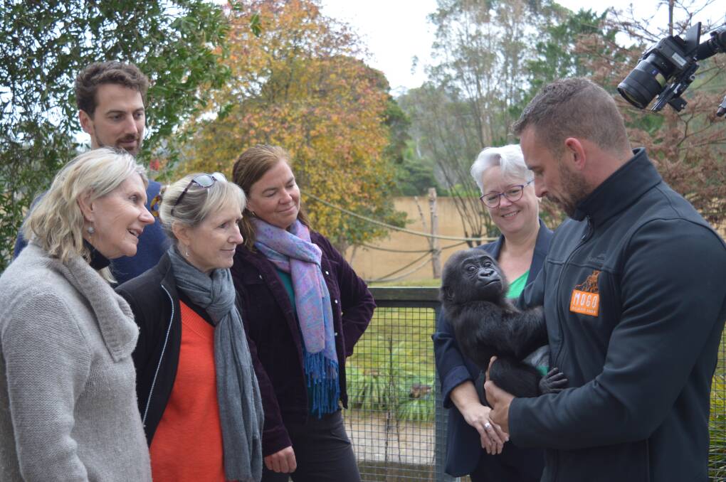 From left: KA Whyte, Dr Brenton Cole, Wendy Pryke, Dr Judy Toman, NSW Minister for Environment Penny Sharpe and zookeeper Chad Staples with baby gorilla Kaius.