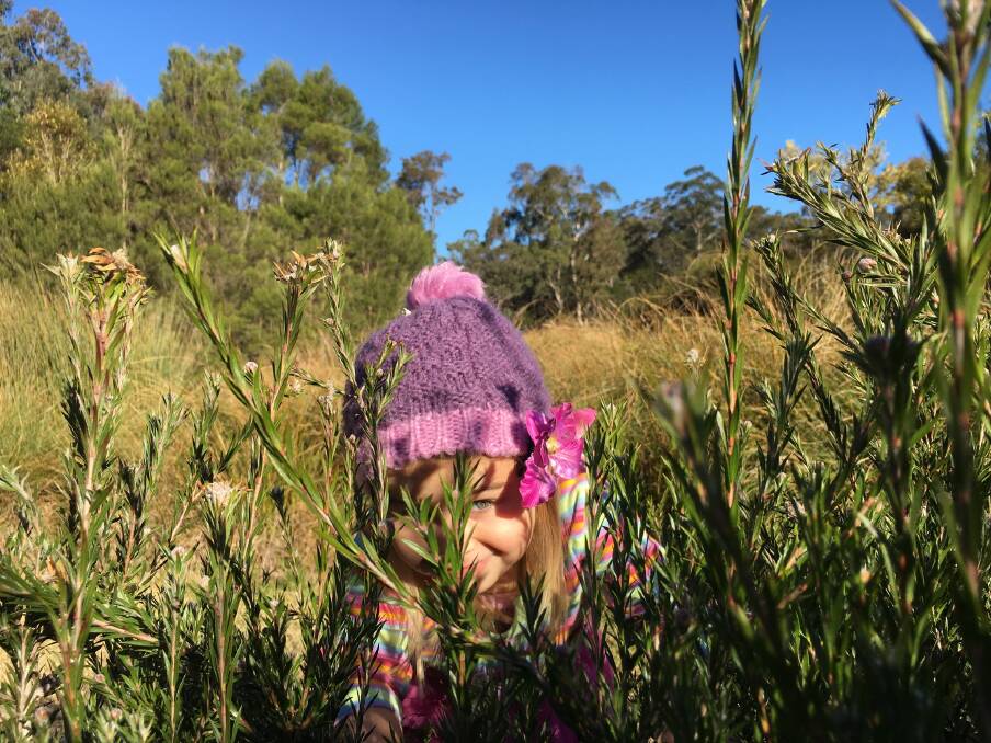 Learn about the flora and fauna surrounding you at the "From the Forest" festival. Picture by Eurobodalla Regional Botanic Gardens